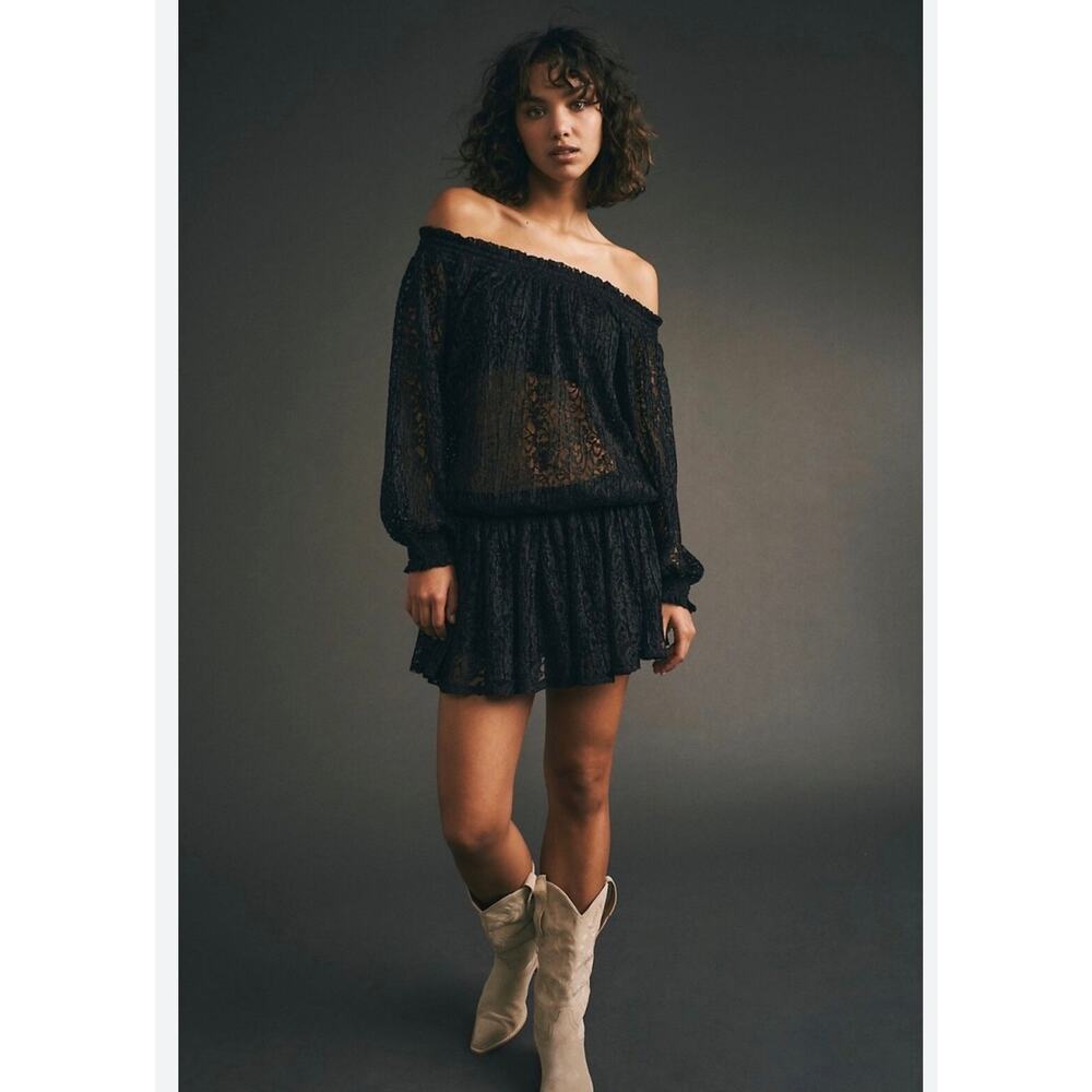 Free People Carina Meadow Lace Mini Dress